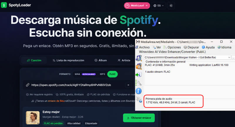 sitio de descarga flac de SpotyLoader