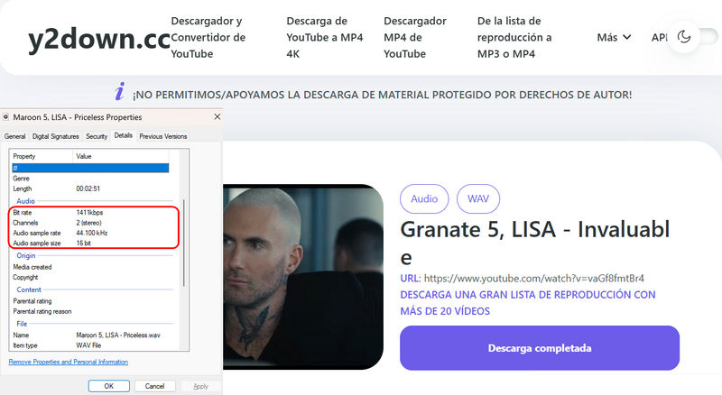 sitio de descarga wav y2downcc