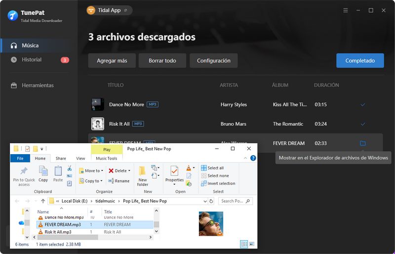 música de Tidal descargada