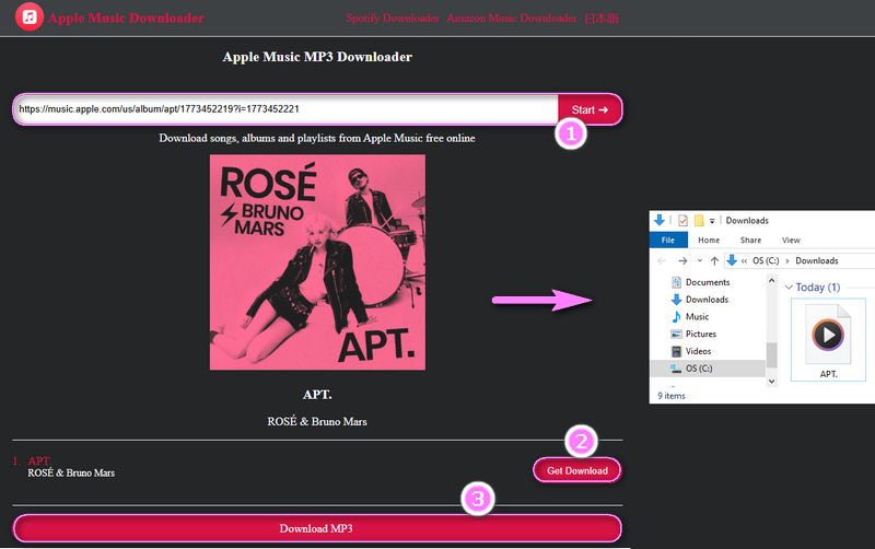 Apple Music Downloader