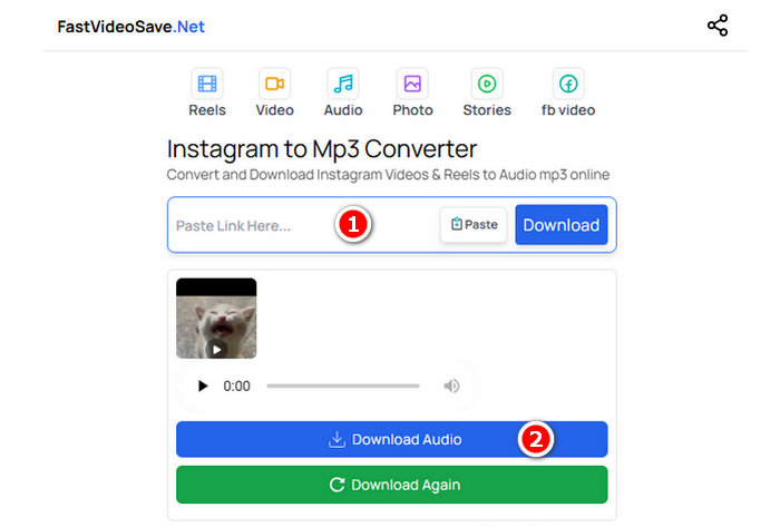 FastVideoSave.Net convert Instagram reels to MP3