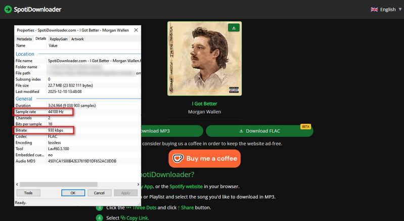 spotidownloader flac download site