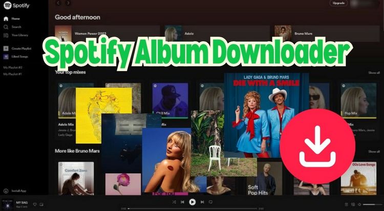 Spotify Album Downloader