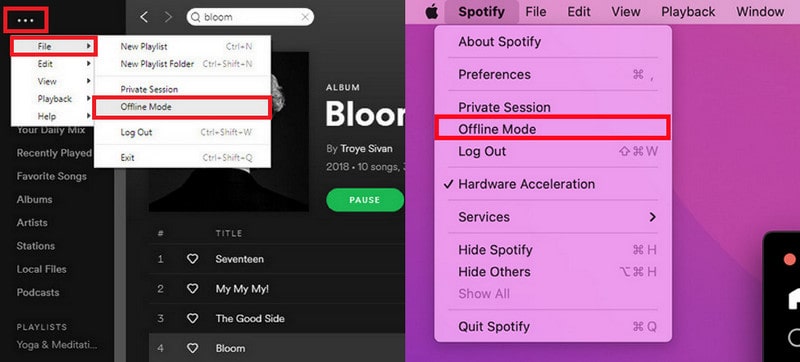 spotify offline mode on desktop