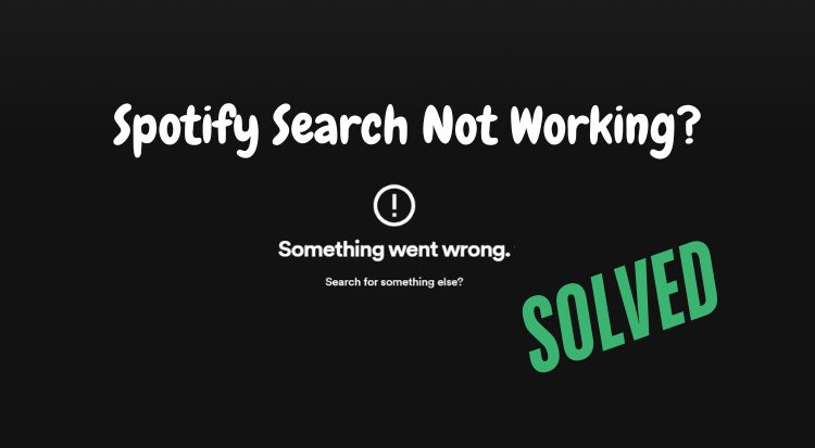 Fix Spotify Search Not Working