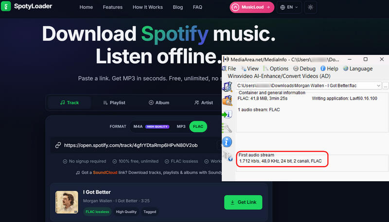 SpotyLoader flac download site