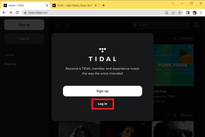 tidal log in