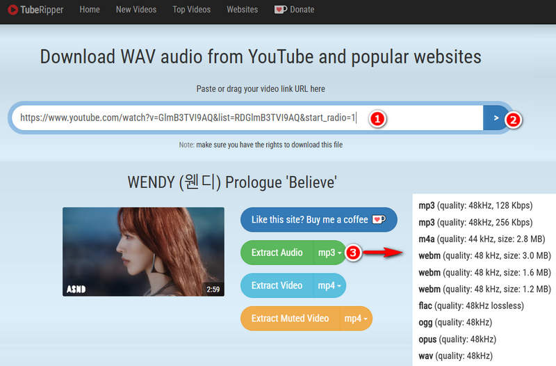 TubeRipper Free Online YouTube to WAV Converter