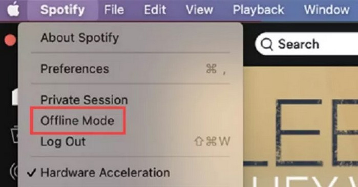 turn on offline mode on spotify