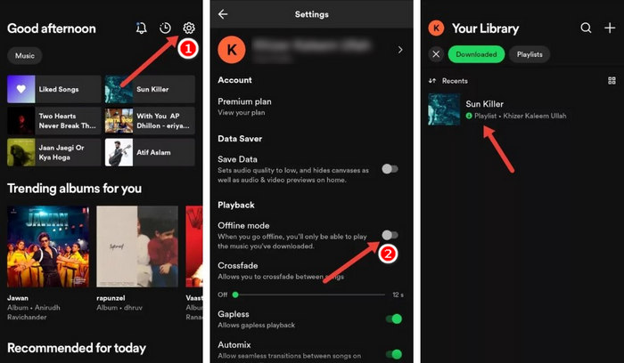 turn on offline mode on spotify