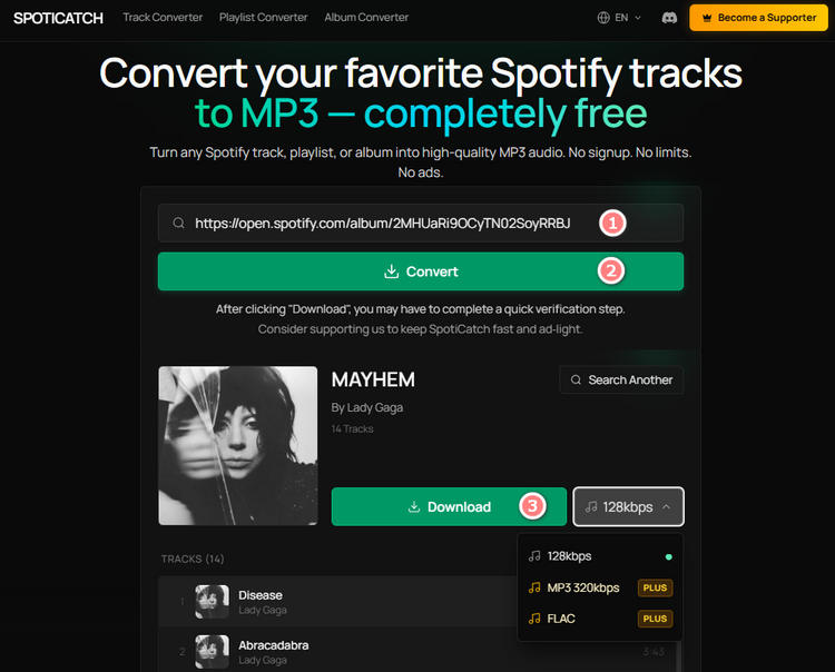 SpotiCatch download process