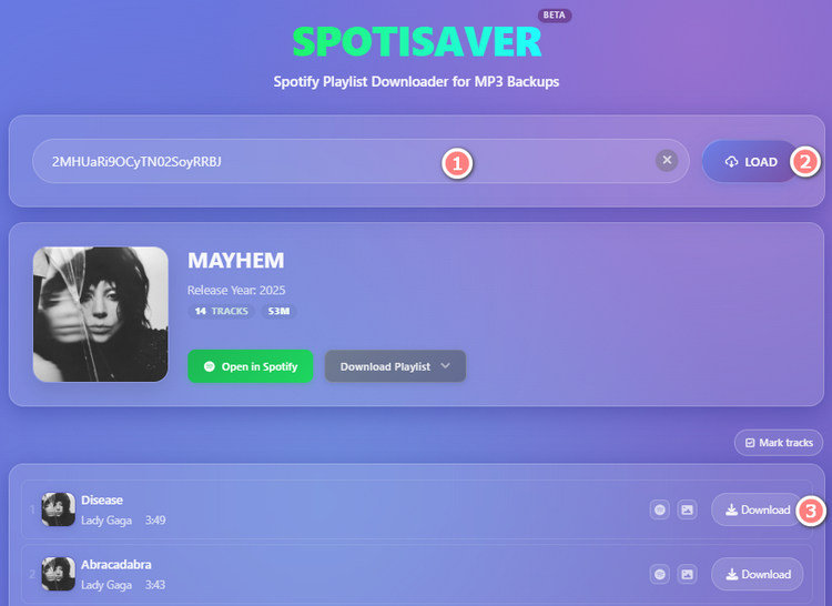 SPOTISAVER download process