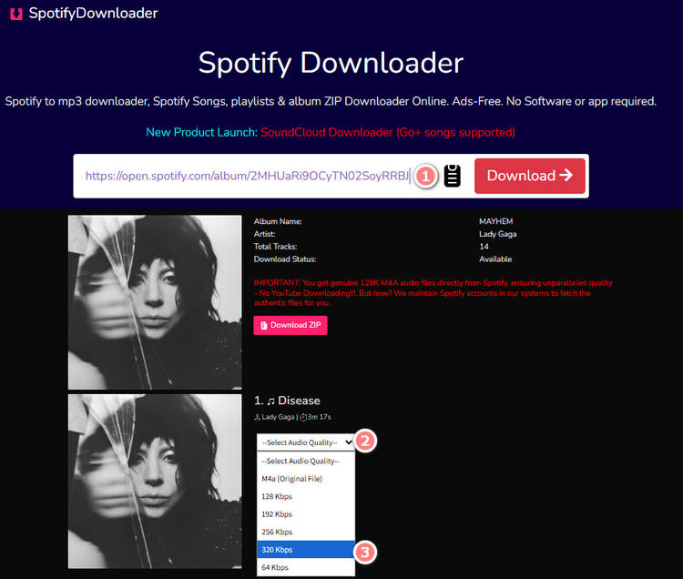 SpotiSongDownloader download process