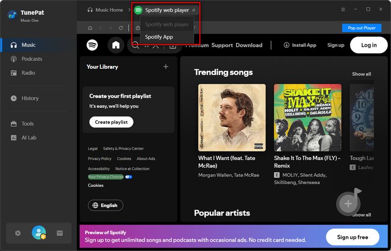 music one spotify interface