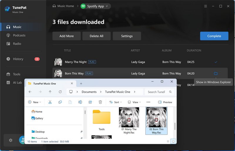 download spotify lossless music