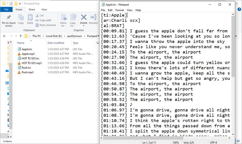 download Spotify lyrics