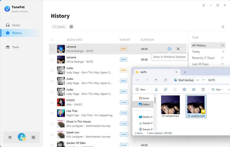 spotify music videos mp4 files