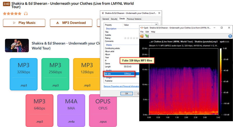 mp3paw test result