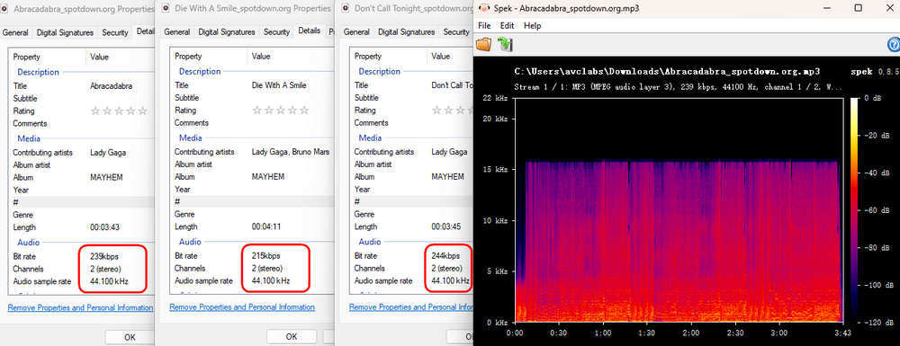 Spotdown audio quality test showing 320kbps MP3 output
