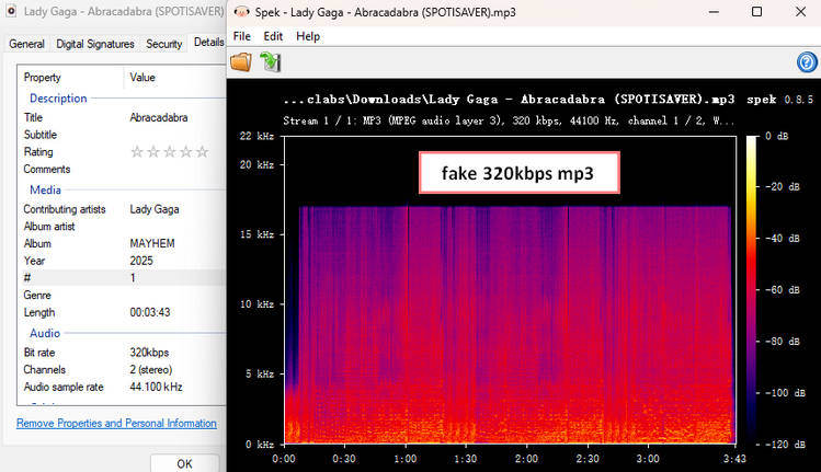 SpotiSaver audio quality test showing actual bitrate lower than the claimed 320kbps output