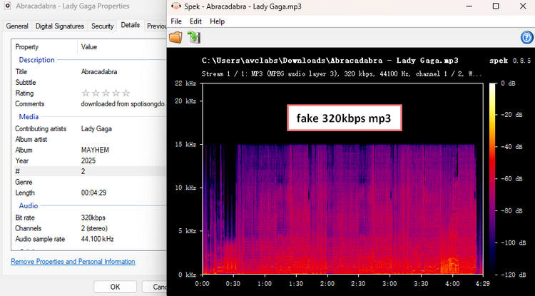 SpotiSongDownloader audio quality test showing actual bitrate lower than the claimed 320kbps output