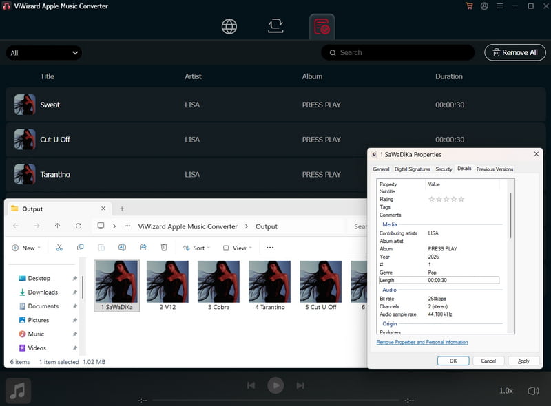 ViWizard Apple Music Converter test result